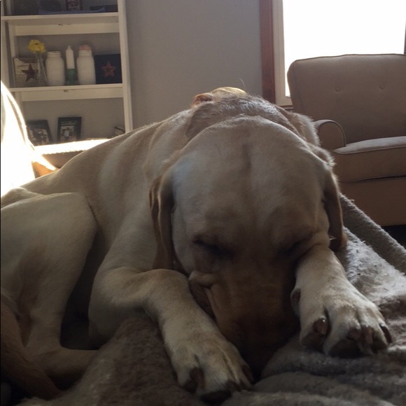 Meet your Posher, Kkristi - Picture 1 of 1